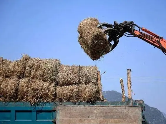 Sugarcane-leaf-pellets