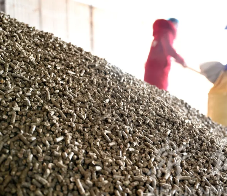 Sugarcane-leaf-pellets