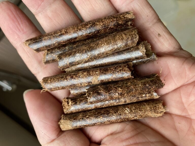 Mesin Pelet Cangkang Sawit – Solusi Terbaik Untuk Produksi Wood Pellets dari Palm Shell