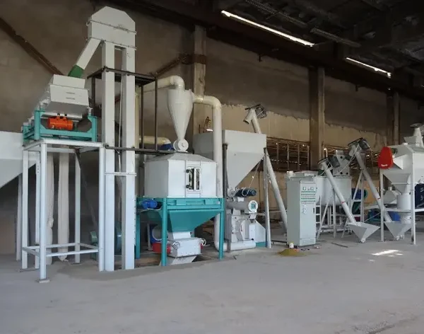 Panduan Lengkap Produksi Pakan Ayam Pelet 2 Ton per Jam